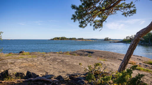 Valokuva: Slussenin luontoalue