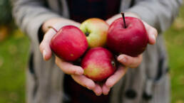 Valokuva: Lähikuva omenoista