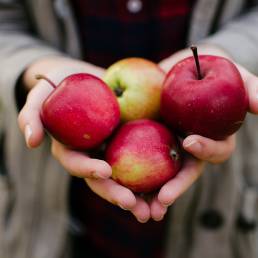 Valokuva: Lähikuva omenoista