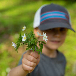 Valokuva: Kukkia kädessä pitävä poika