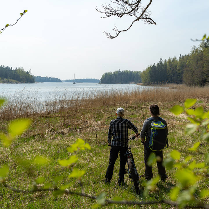Valokuva: Py&ouml;r&auml;ily&auml; Siuntion luonnossa