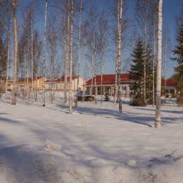 Talvinen kuva Palonummesta. Vinterbild från Brännmalmen.